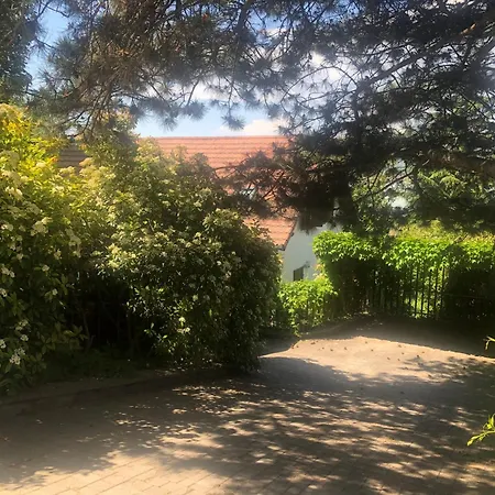 Sajkod-az Oeboel Csendje * 蒂豪尼