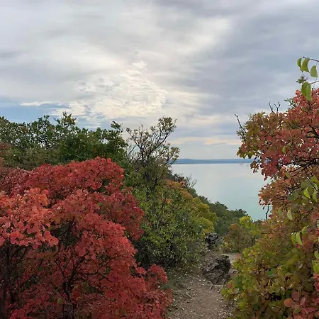 Sajkod-az Oeboel Csendje * Tihany