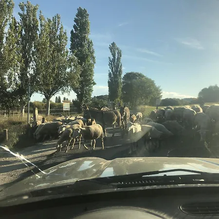 Lägenhet Sajkod-az Oeboel Csendje