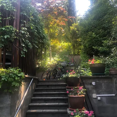 Sajkod-az Oeboel Csendje *