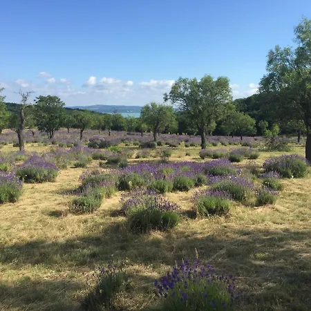 דירה Sajkod-az Oeboel Csendje