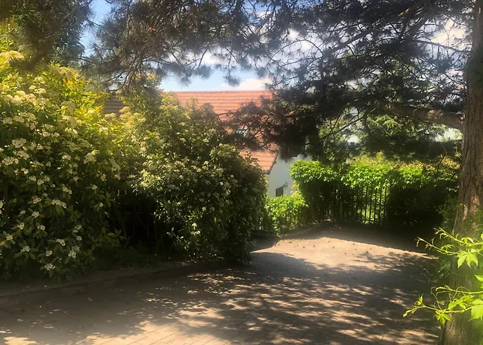 Sajkod-az Oeboel Csendje * 蒂豪尼