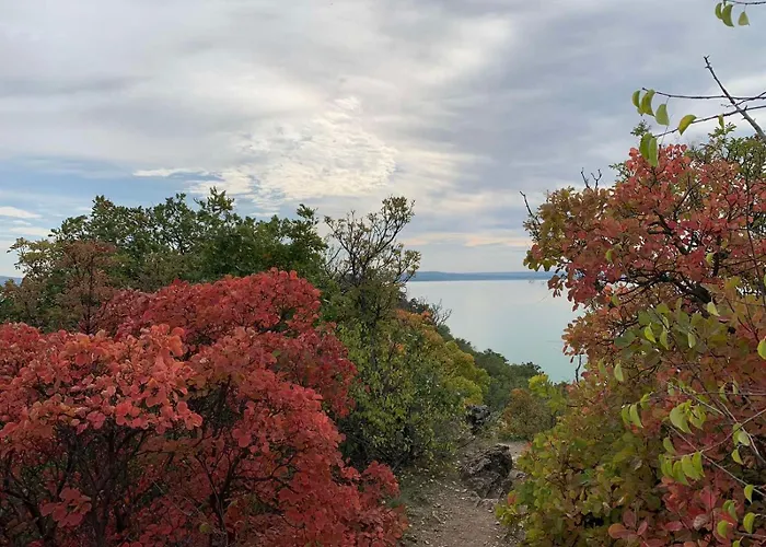 Sajkod-az Oeboel Csendje * Tihany