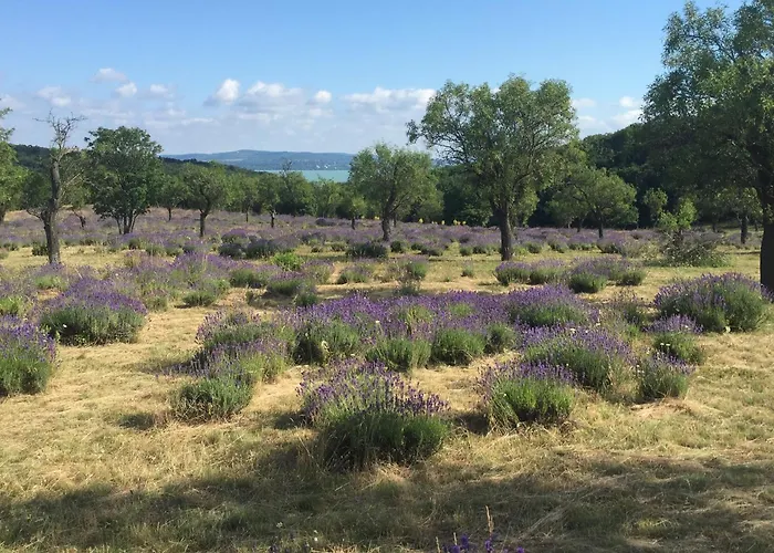 公寓 Sajkod-az Oeboel Csendje